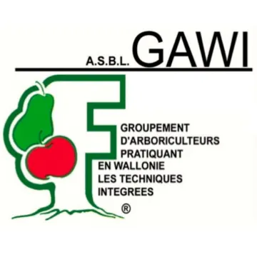 Logo du GAWI
